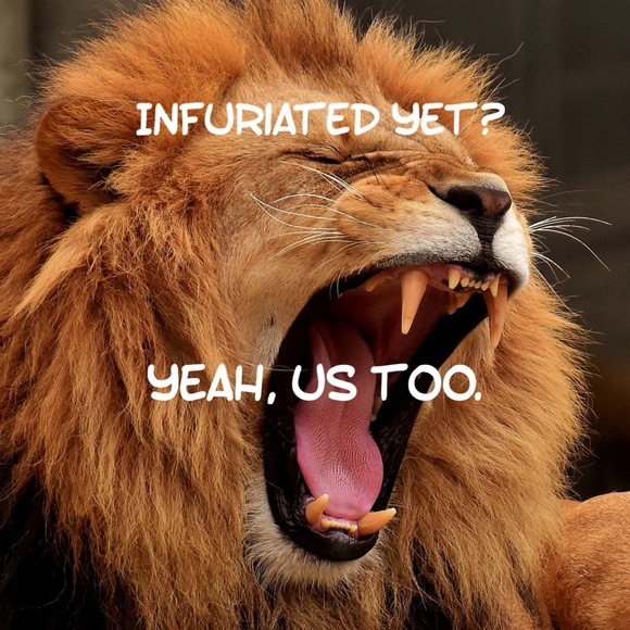 🛑 Buying Frye Vintage Boots? Read this! Cowboy Cowgirl Western Biker Moto Boots - Picture 15 of 16